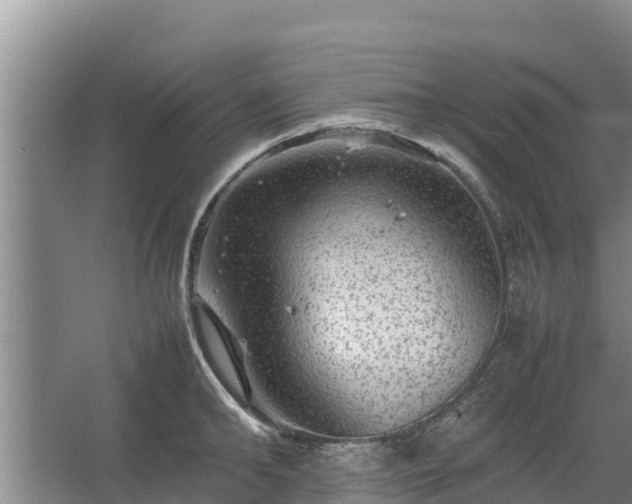 X0000067460902200604142321