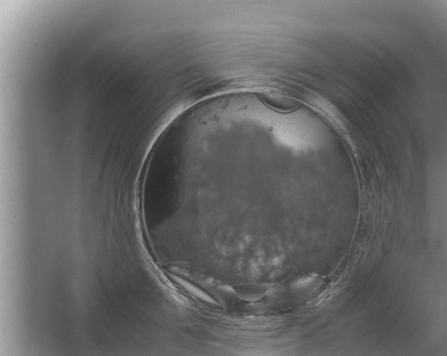 X0000067460907200604142321