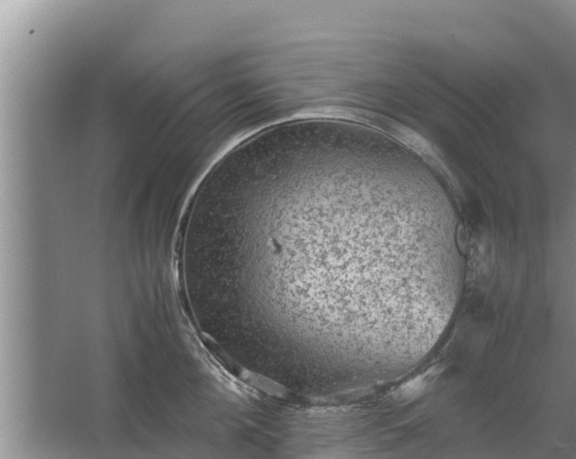 X0000067460908200604142321