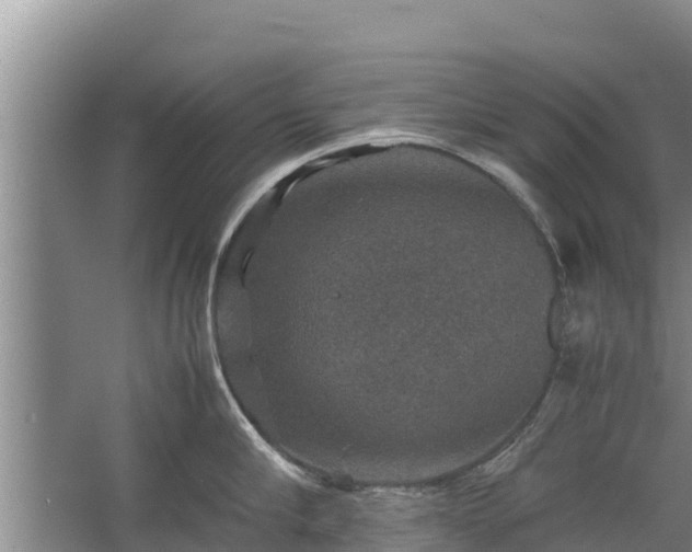 X0000067460910200604142321