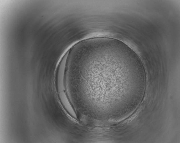 X0000067460912200604142321