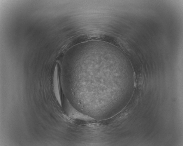 X0000067460916200604142320