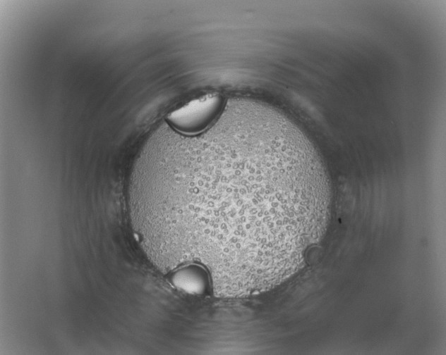 X0000067460918200604142320