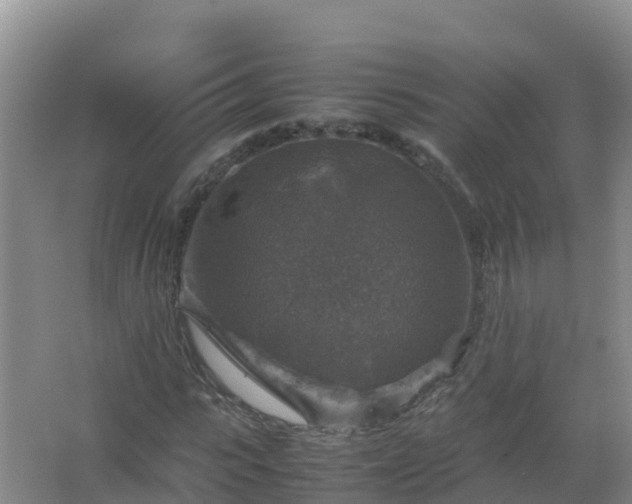 X0000067460919200604142320