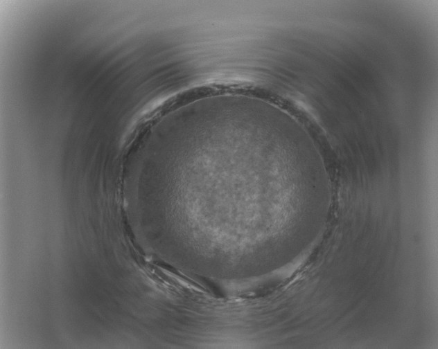 X0000067460920200604142321