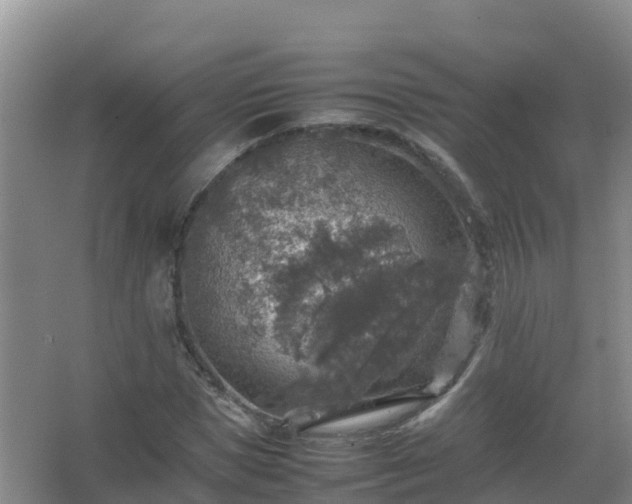 X0000067460921200604142321