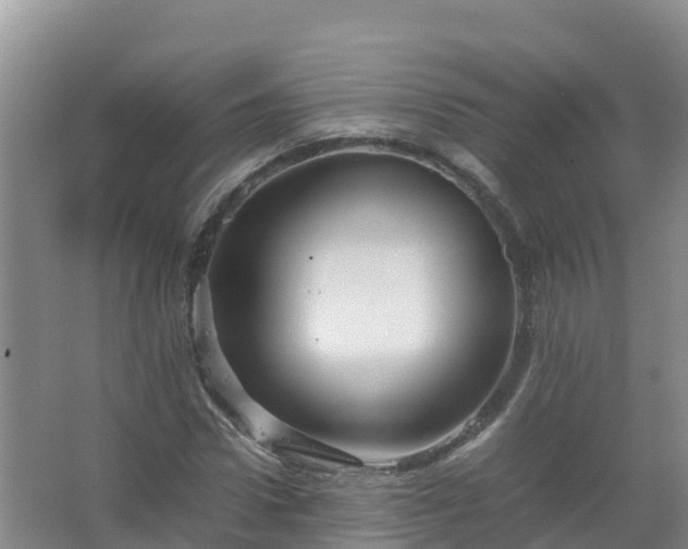 X0000067460922200604142321