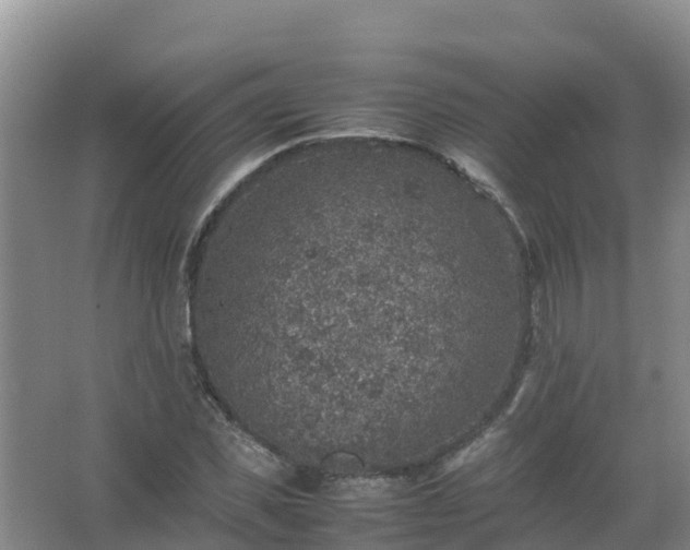 X0000067460925200604142321