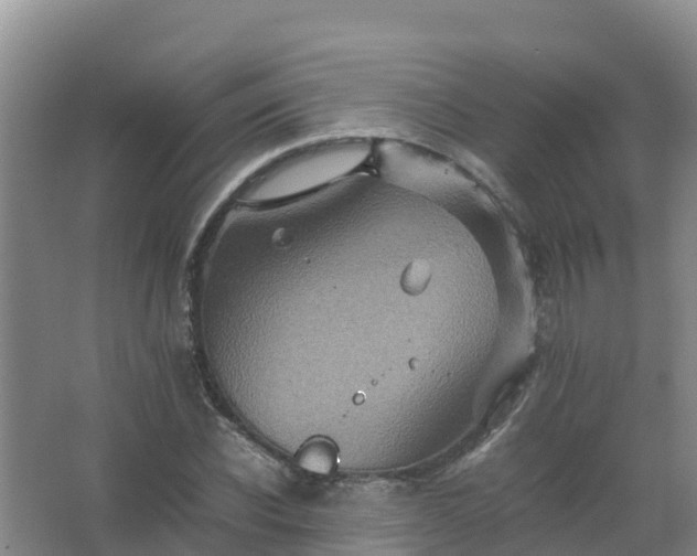 X0000067460926200604142321