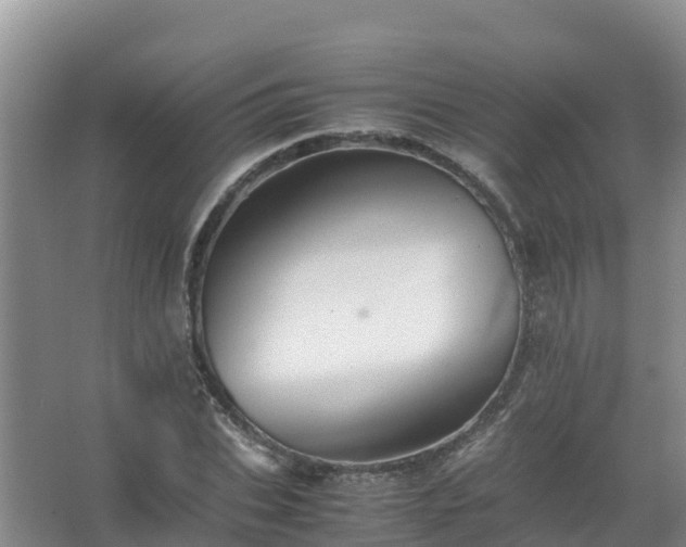 X0000067460927200604142321