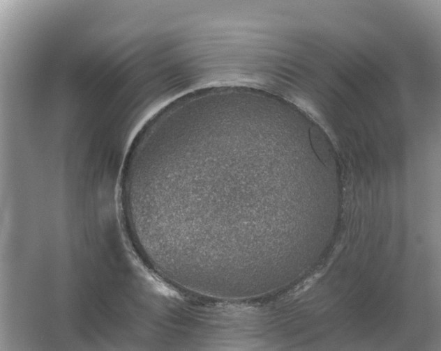 X0000067460928200604142321