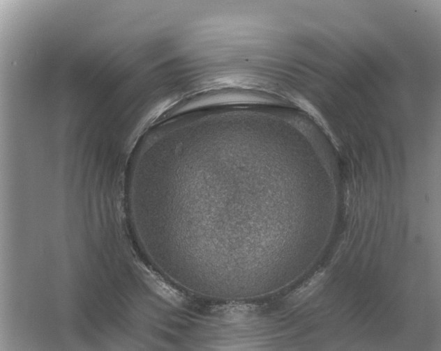 X0000067460930200604142321