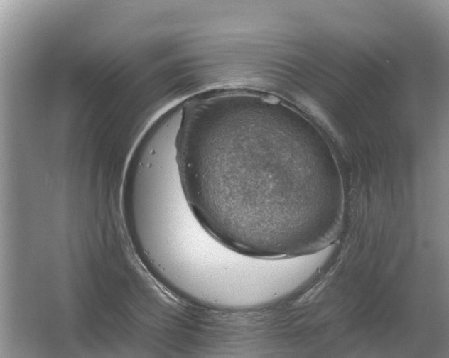 X0000067460932200604142321