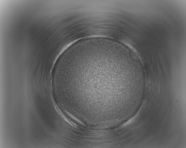 X0000067460933200604142321