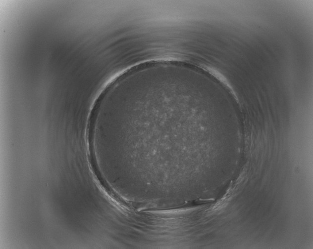 X0000067460935200604142321