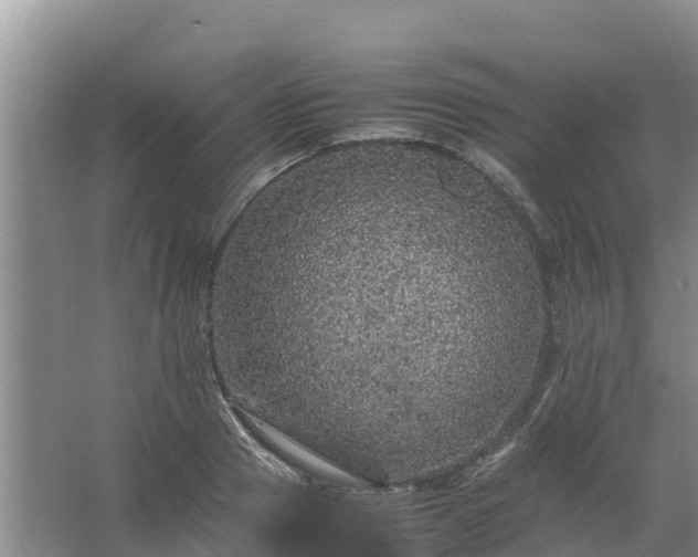 X0000067460937200604142321