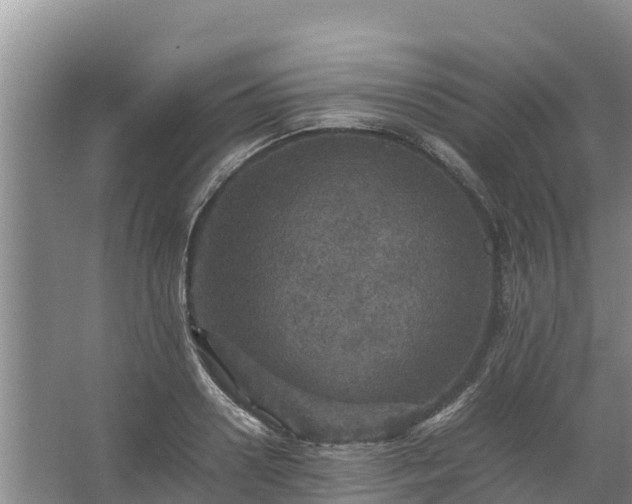 X0000067460938200604142321