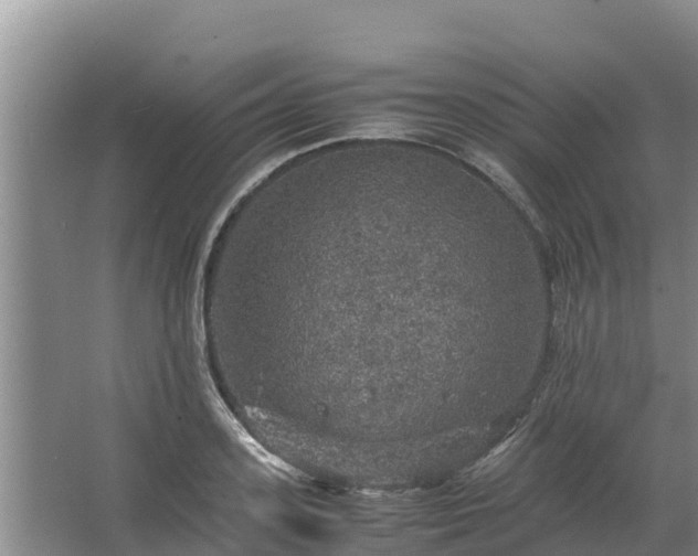 X0000067460939200604142321