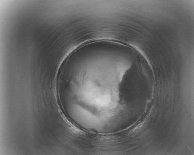 X0000067460941200604142321