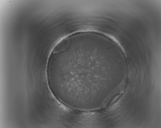 X0000067460943200604142321