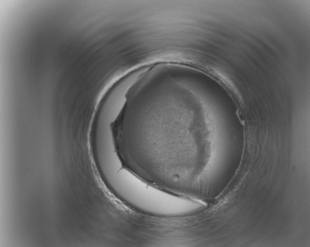 X0000067460944200604142321