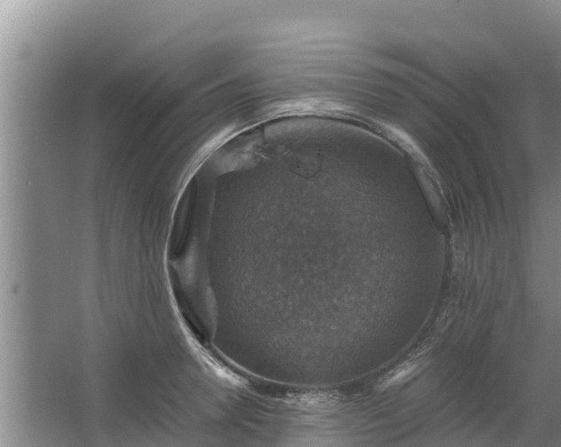 X0000067460946200604142321