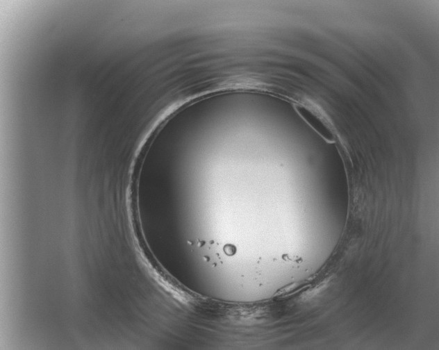 X0000067460947200604142321