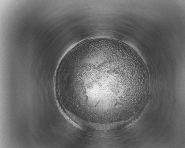 X0000067460949200604142321