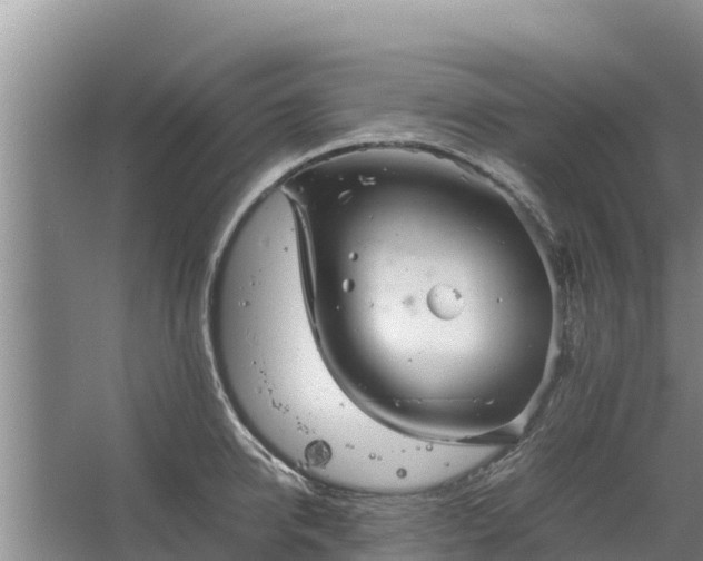 X0000067460950200604142321