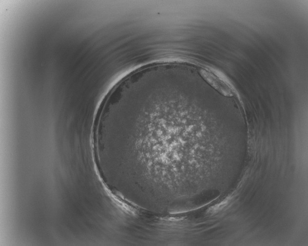 X0000067460951200604142321