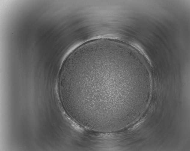 X0000067460952200604142321