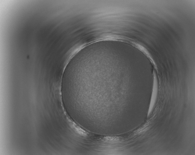 X0000067460954200604142321