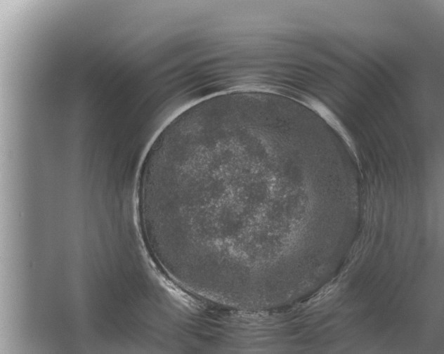 X0000067460955200604142321