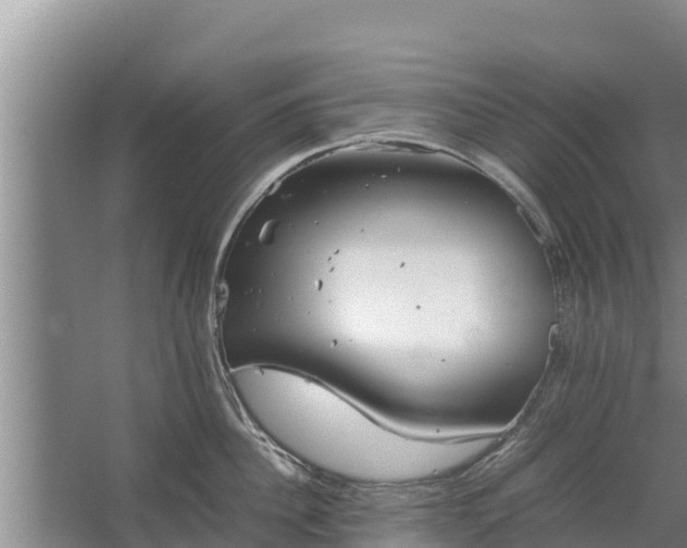 X0000067460956200604142321