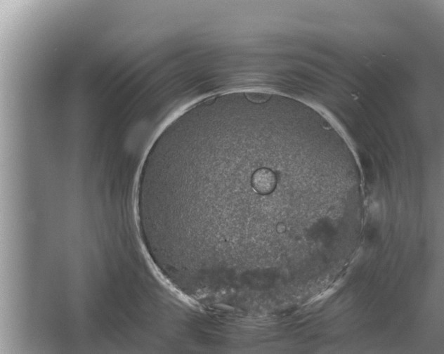 X0000067460957200604142321