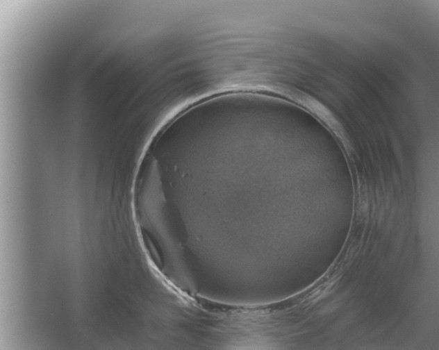 X0000067460958200604142321