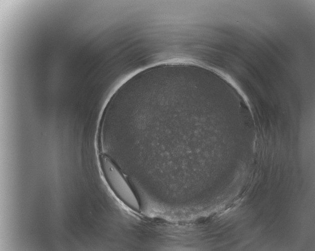 X0000067460959200604142321