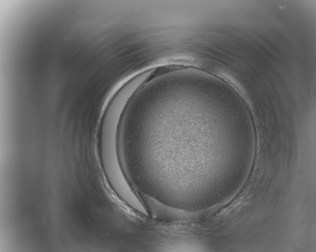 X0000067460960200604142321