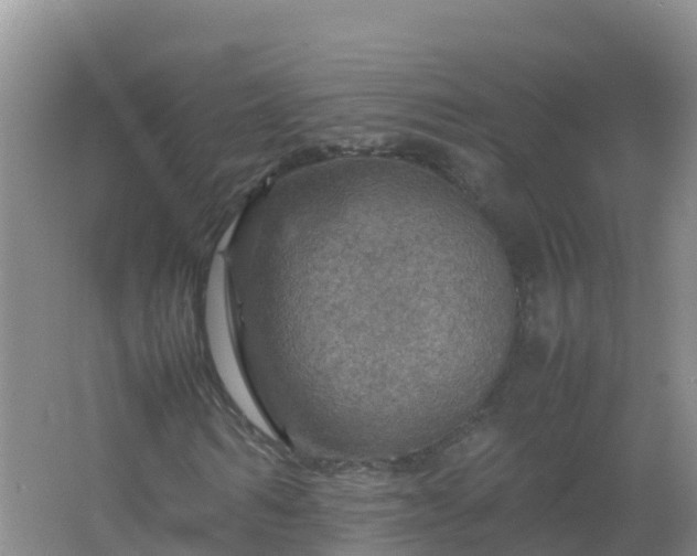 X0000067460962200604142320