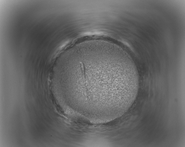 X0000067460967200604142320