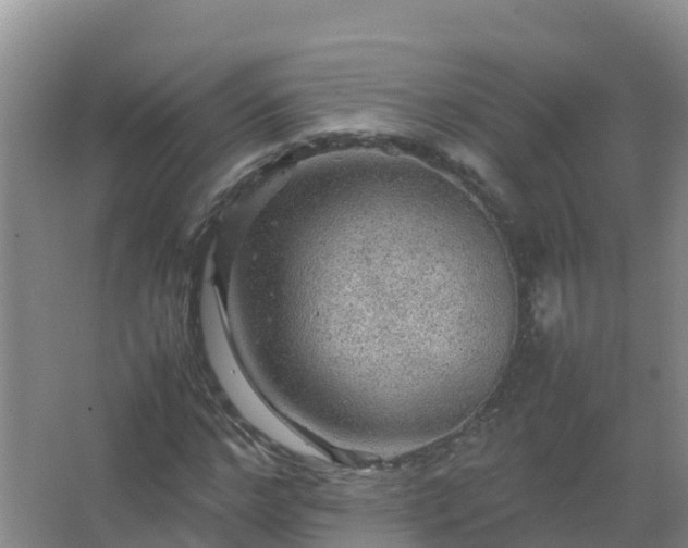 X0000067460968200604142320