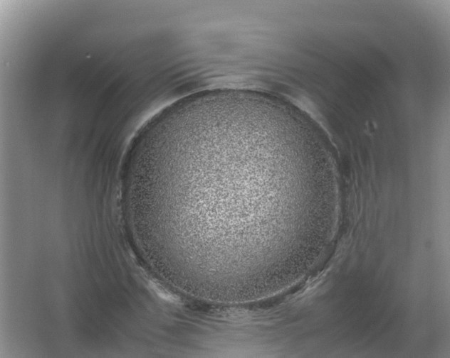 X0000067460971200604142320