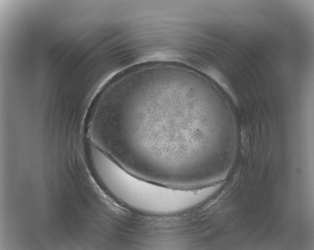 X0000067460972200604142320