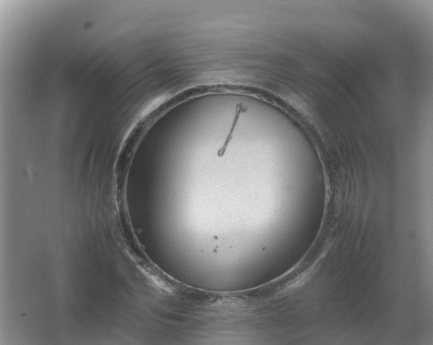 X0000067460974200604142320