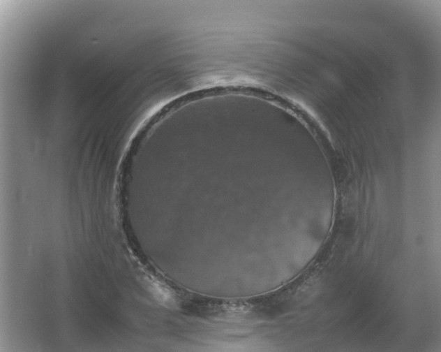 X0000067460975200604142320