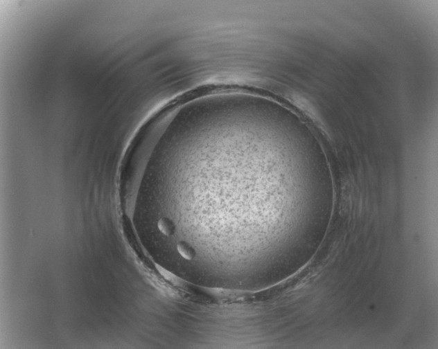 X0000067460976200604142320