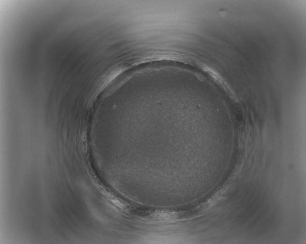 X0000067460977200604142320