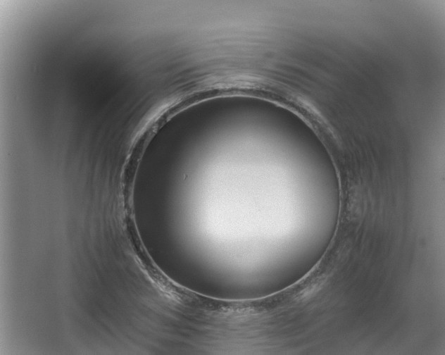 X0000067460978200604142320