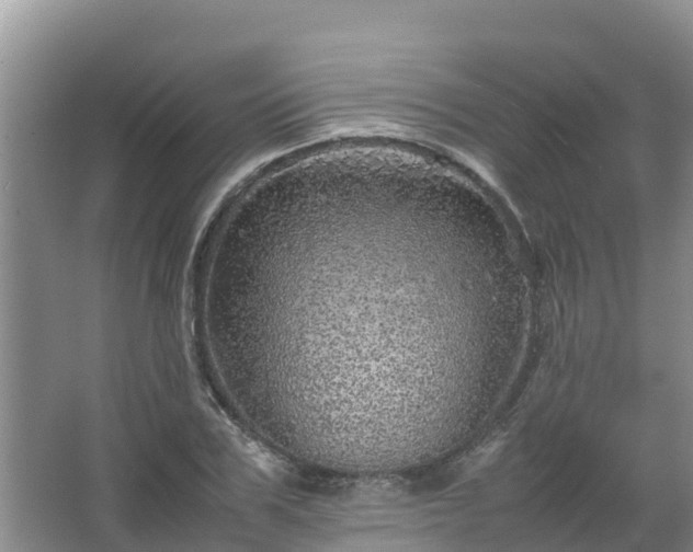 X0000067460979200604142320