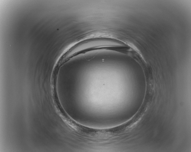 X0000067460981200604142320